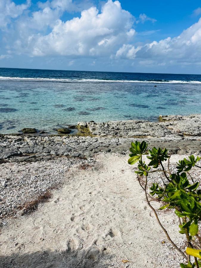 Bungalow Kura Moorea Esterno foto