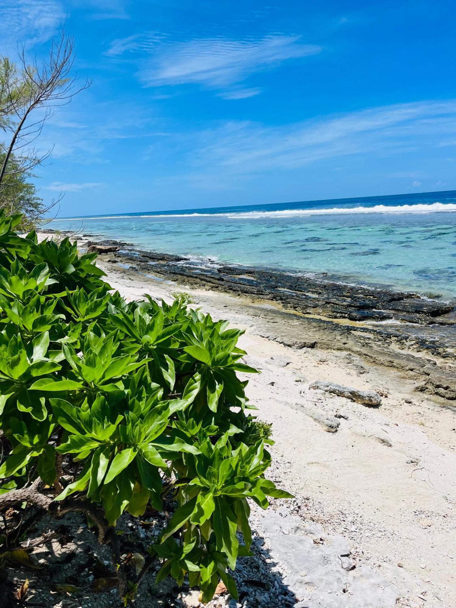 Bungalow Kura Moorea Esterno foto
